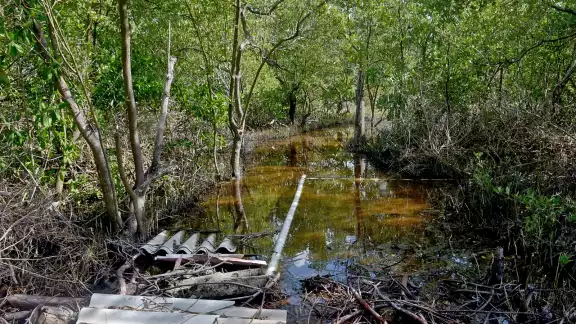 Las conexiones clandestinas son frecuentes en Holbox