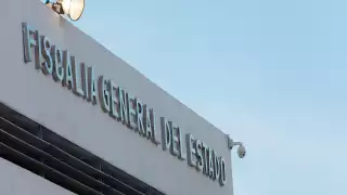 Denuncian ante la FGE el presunto envenenamiento de perros y gatos en Pisté