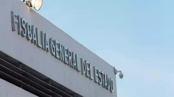 La FGE Yucatán investigará el envenenamiento de perros y gatos en Pisté
