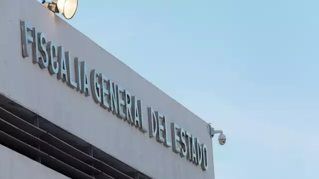 La FGE Yucatán investigará el envenenamiento de perros y gatos en Pisté