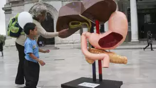 En el Día Mundial contra la Hepatitis, ¿qué es y cuáles son los síntomas?