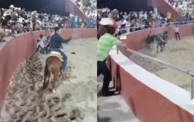 Los torneos de lazo están prohibidos en Yucatán