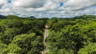 Instalan Comité Técnico Estatal para proteger la Selva Maya