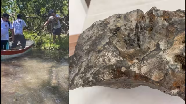 Actualmente, la piedra está en estudio de la Facultad de Antropología de la UADY