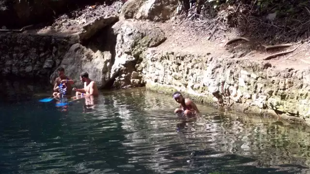 Zací, palabra maya que significa “Gavilán blanco”