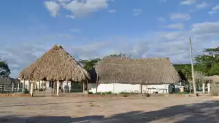 Dignatarios Mayas promueven la eliminación del Gran Consejo Maya