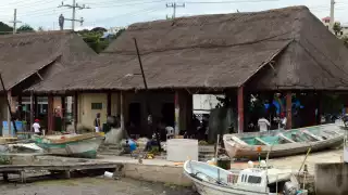 Por bajas temperaturas, consiguen hasta 100 kilogramos de pescados.