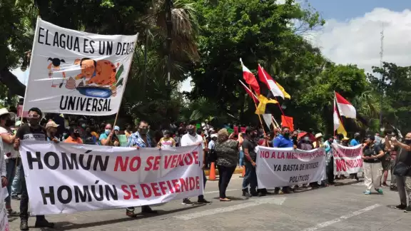 Indignación continúa liderando las protestas contra granjas porcícolas de Yucatán Indignación continúa liderando las protestas contra granjas porcícolas de Yucatán