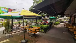 Bares y antros de CDMX reabrirán a partir del 6 de septiembre sin restricción de horario