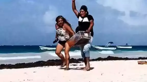 Mujer tira empanadas a vendedor