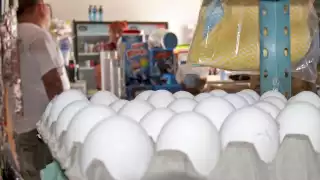 Ante los costos del huevo se ha convertido en un producto inalcanzable en varios hogares cancunenses