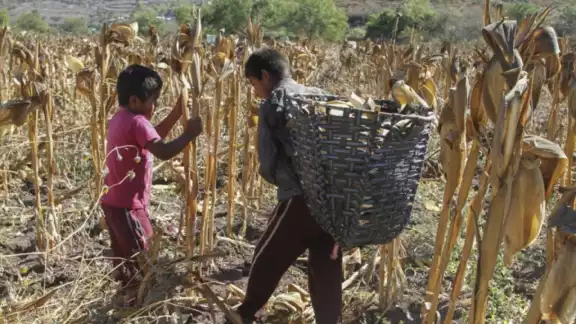 México prohíbe la importación de productos con elaboración de trabajo forzoso