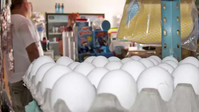 Este año la OPS emitió una alerta de influenza aviar en 10 países