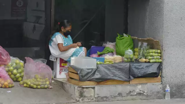 Mujeres rurales son el sustento completo del hogar
