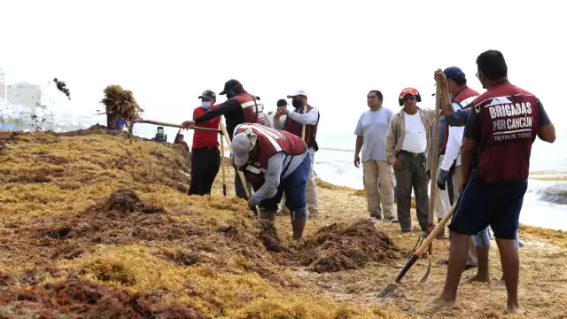 Además de la pérdida del proyecto, la universidad se ganó un veto por cinco años
