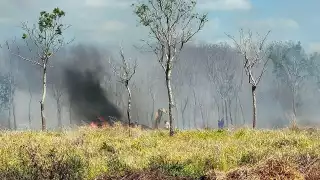 El piloto sobrevivió y fue trasladado a un hospital de Campeche