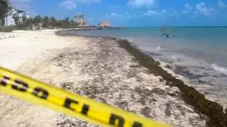 Los restos humanos hallados en Puerto Juárez fueron llevados a las instalaciones del Semefo en Cancún, para su análisis