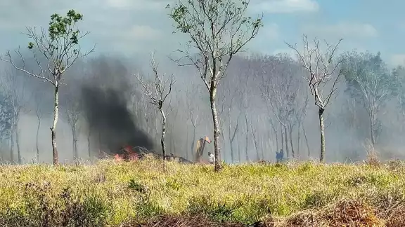 El piloto sobrevivió y fue trasladado a un hospital de Campeche El piloto sobrevivió y fue trasladado a un hospital de Campeche