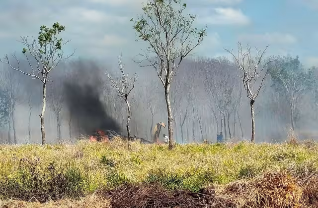 El piloto sobrevivió y fue trasladado a un hospital de Campeche
