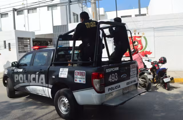 La FGR destacó otros problemas en la zona selvática y frontera con Guatemala como la tala ilegal de madera