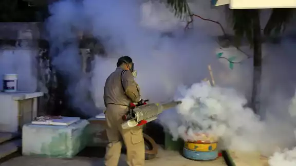En la Península se confirmaron 115 casos de Dengue; 69 de Quintana Roo, 26 de Campeche y los 20 restantes en Yucatán En la Península se confirmaron 115 casos de Dengue; 69 de Quintana Roo, 26 de Campeche y los 20 restantes en Yucatán