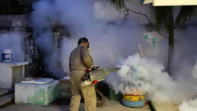 En la Península se confirmaron 115 casos de Dengue; 69 de Quintana Roo, 26 de Campeche y los 20 restantes en Yucatán