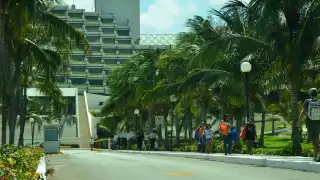 Este año se espera poder repuntar nuevamente en el ámbito turístico.