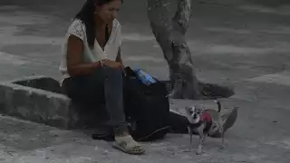 La dueña detalló que no tienen grandes complicaciones para volar en las aerolíneas juntas