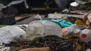 Se localiza a 100 metros de un centro escolar y sus hedores perjudican a los estudiantes