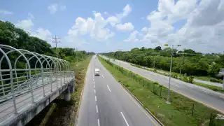 El tren atraviesa ecosistemas muy frágiles.
