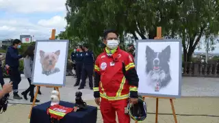 La Fiscalía General de Querétaro indicó que realizan las investigaciones sobre la muerte de los perros rescatistas