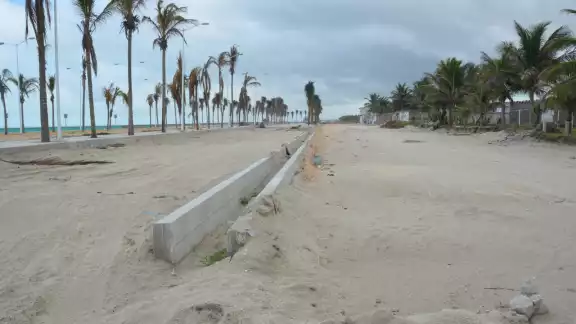 Entre las fallas que se detectaron hay fisuras en las banquetas y palmeras que se deben reemplazar Entre las fallas que se detectaron hay fisuras en las banquetas y palmeras que se deben reemplazar