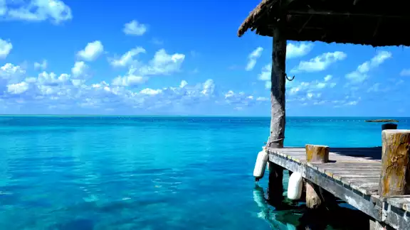 Existen embarcaciones que parten desde Cancún, Puerto Morelos e Isla Mujeres para hacer tours durante todo el día