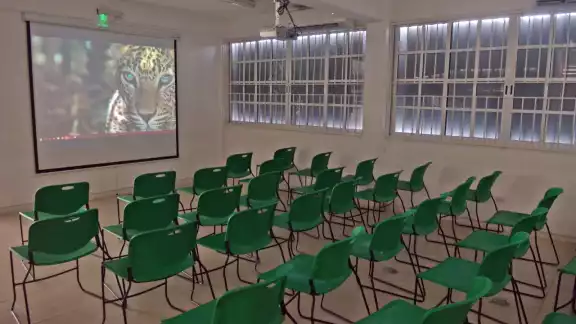 El estrés generado por las clases a distancia y la falta de dinero en casa, otras de las causas del rezago educativo en Quintana Roo
