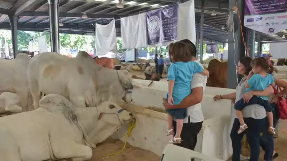 La Feria Yucatán Xmatkuil se tendrá nuevamente este 2022 La Feria Yucatán Xmatkuil se tendrá nuevamente este 2022