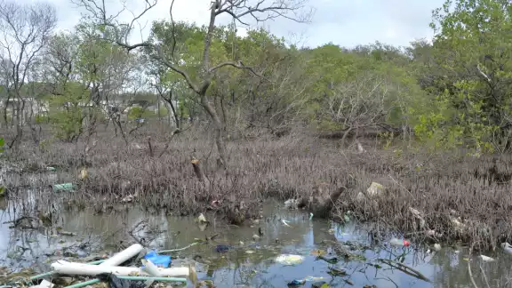 El IMCO puso a Campeche como el estado que peor maneja sus aguas residuales, pues sólo trata 1.4 litros de agua por cada mil habitantes