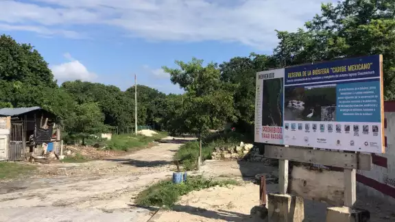 La Reserva de la Biósfera Caribe Mexicano está en riesgo por montañas de basura y vías Intransitables

