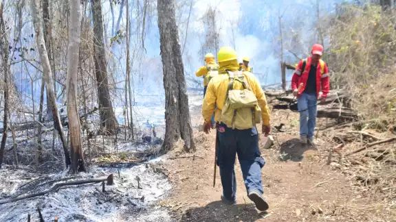 Alrededor de 80 elementos de la diversas dependencias, entre ellas la Guardia Nacional, trabajan para sofocar el incendio Alrededor de 80 elementos de la diversas dependencias, entre ellas la Guardia Nacional, trabajan para sofocar el incendio