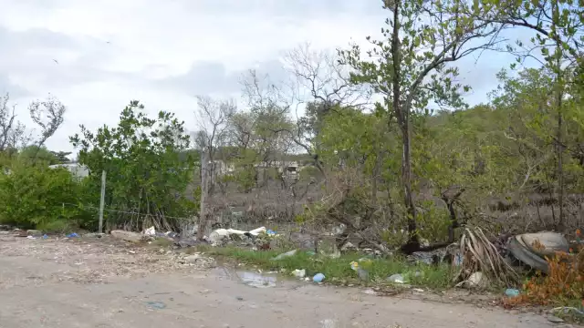 En la Península de Atasta se puede observar a lo largo de la carretera basureros clandestinos