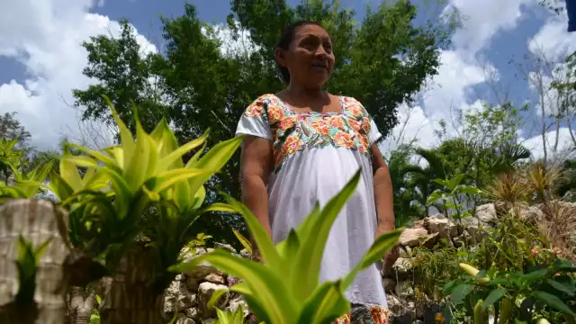 Las mujeres campesinas declararon que están limitadas en apoyos sociales para trabajar las tierras en Carrillo Puerto