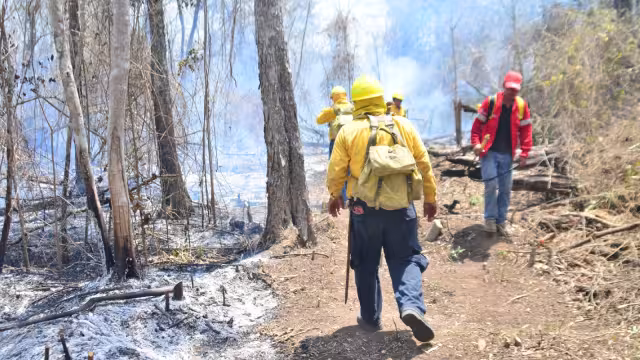 Alrededor de 80 elementos de la diversas dependencias, entre ellas la Guardia Nacional, trabajan para sofocar el incendio