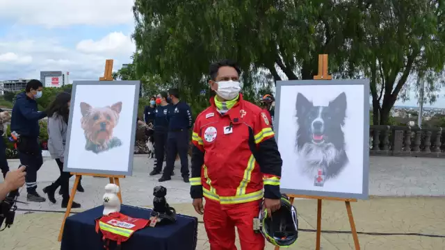 La Fiscalía General de Querétaro indicó que realizan las investigaciones sobre la muerte de los perros rescatistas