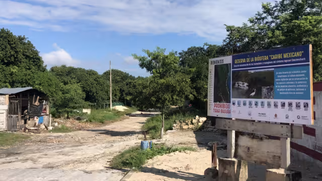 La Reserva de la Biósfera Caribe Mexicano está en riesgo por montañas de basura y vías Intransitables

