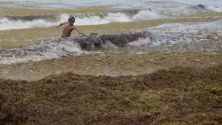 Mahahual es una de los destinos turísticos de Quintana Roo que se ve mayormente afectado por el recale de sargazo a sus costas