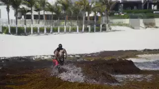 En Cozumel, la acumulación de sargazo permanece en la zona que da hacia mar abierto, sitio donde hay 10 playas en color rojo por la macroalga