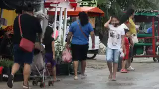 Matrimonio infantil en Quintana Roo: Cerca de 500 niñas dejaron los juegos para ser esposas