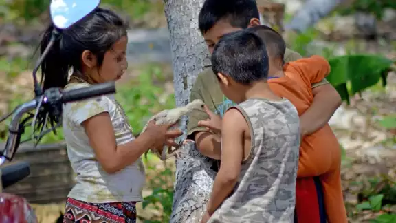 Desde pequeños muchos menores yucatecos realizan actividades para ayudar a sus familias