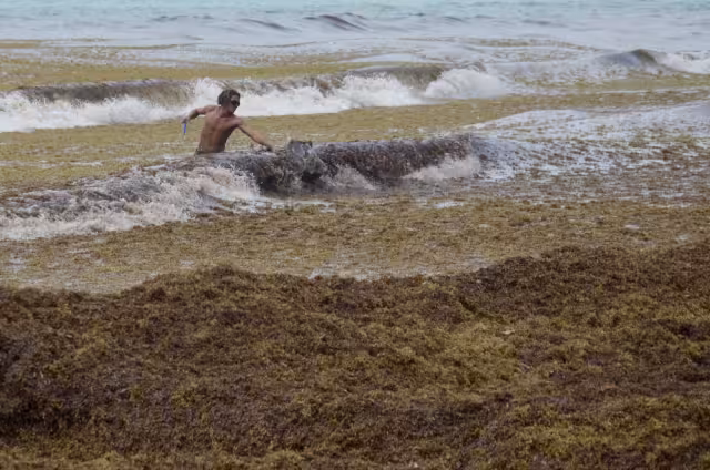 Mahahual es una de los destinos turísticos de Quintana Roo que se ve mayormente afectado por el recale de sargazo a sus costas