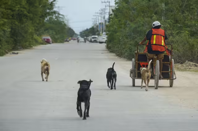 Buscarán ampararse contra la propuesta del Regidor Julio de Jesús Méndez Paniagua