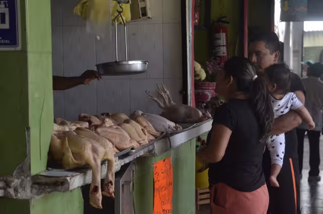 Comerciantes esperan que el producto se agote a partir de hoy.